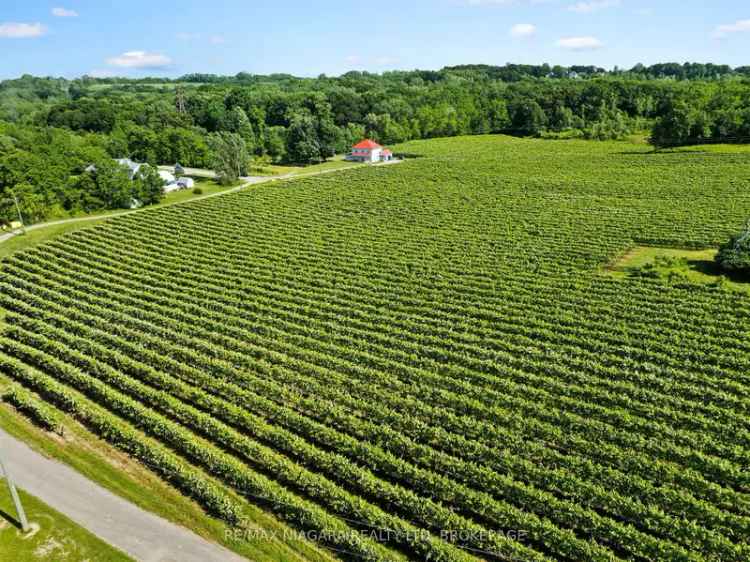 Buy Farm Property in Niagara On The Lake with Homes and Agricultural Land