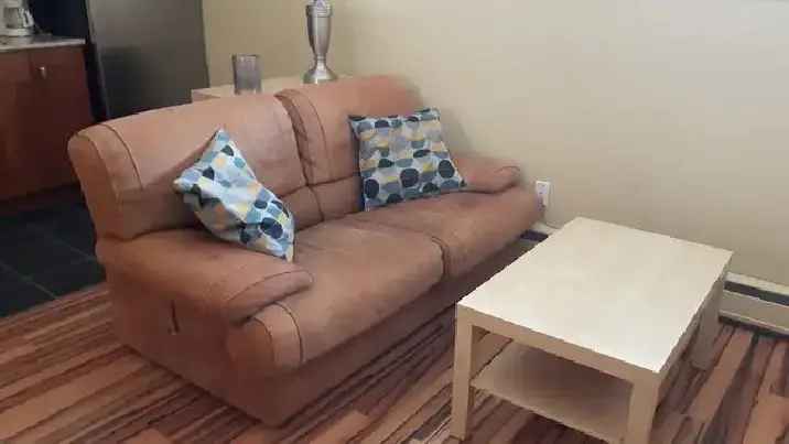 Furnished bachelor condo, Oliver, available now, $1125 all in