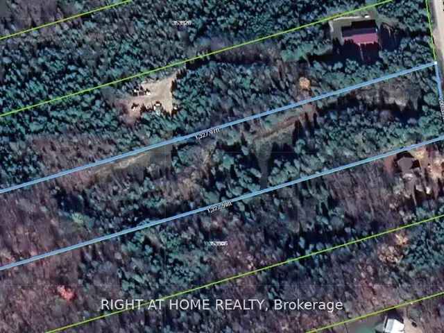 6-Acre Building Lot Near Flesherton - Build Your Dream Home