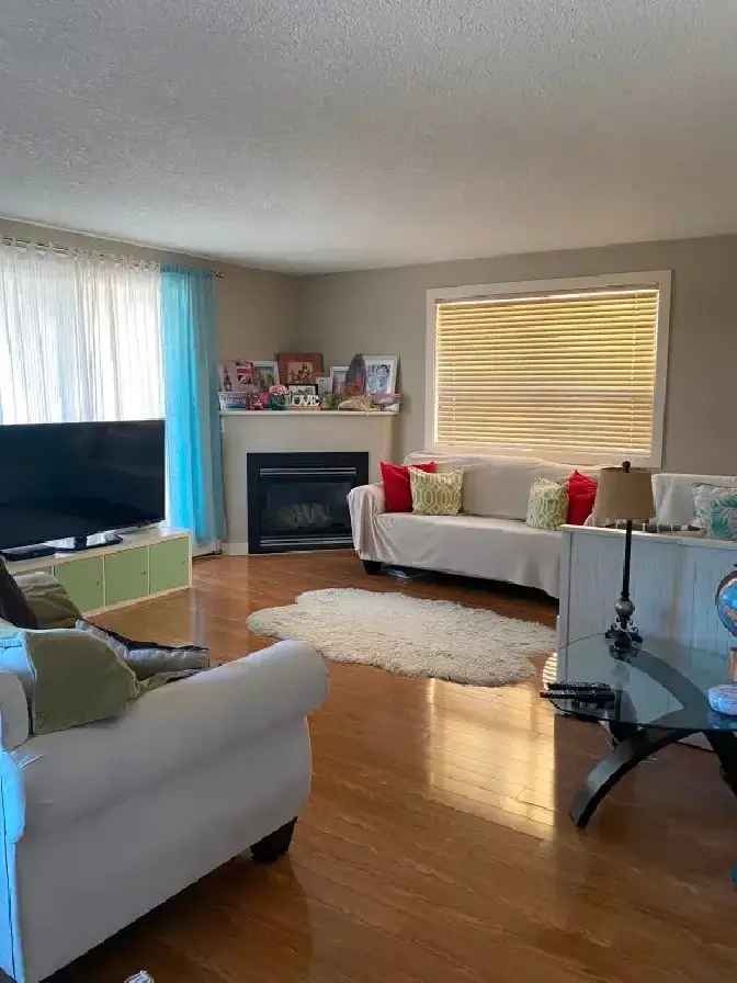 2440 34ave SW  Marda loop 1 bed condo rent $1650 Dec 1