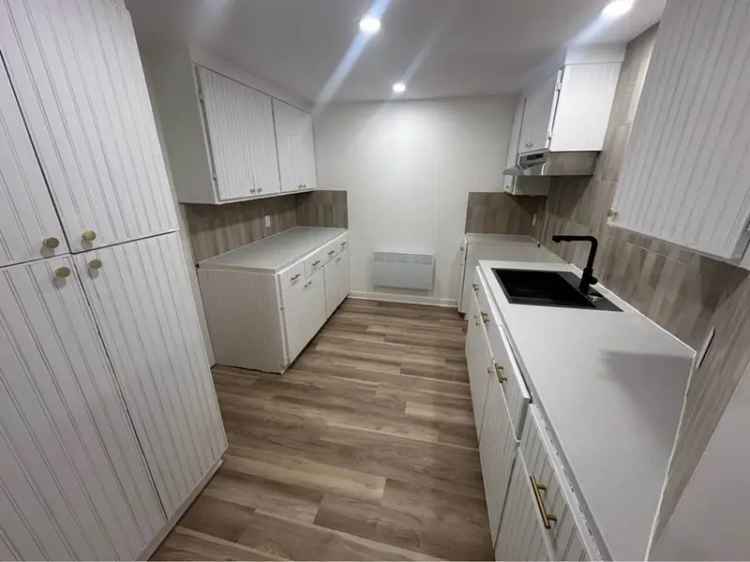 Newly Renovated 2-Bedroom Apartment Pet-Friendly