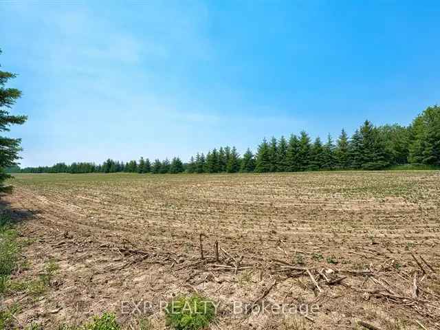 13 Acre Farm For Sale Near Arthur And Fergus