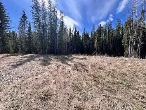 Vacant Land For Sale In Rural Grande Prairie No. 1, County of, Alberta