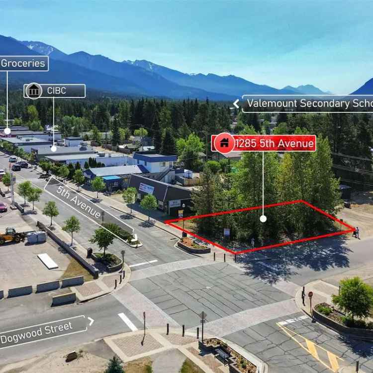 Buy Commercial Land in Valemount with Mixed-Use Opportunities