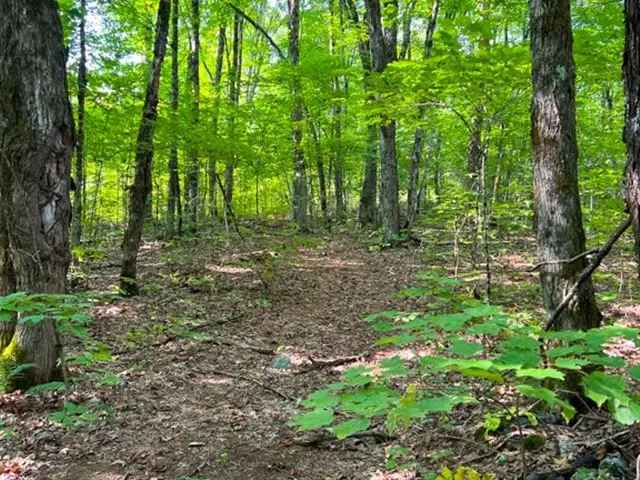 96.27 Acres Hunting Camping Property 1 Bedroom Home Severance Potential