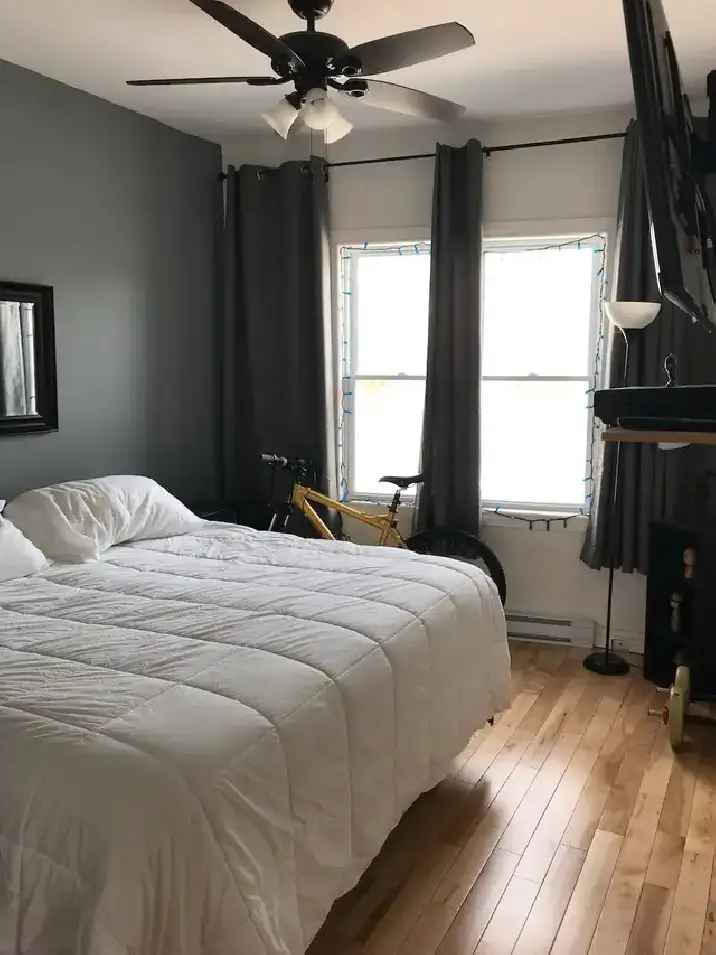 Rosemont 4 1/2 Loft Condo Near Beaubien Park