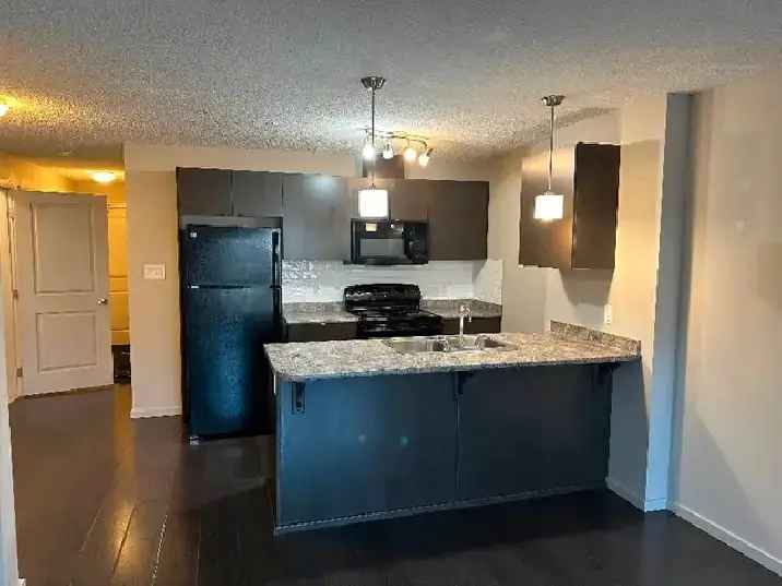 2 Bed   2 Bath Condo for Rent