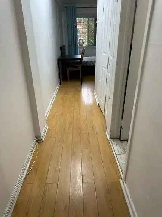 Downtown Near McGill All Included Furnitured Studio for Rent !!