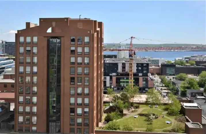 Rent Executive Condo 1 Bedroom Den in Spring Garden Rd