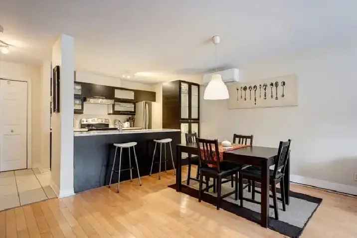Furnished 2 Bedroom 2 Bathroom Condo Downtown Montreal