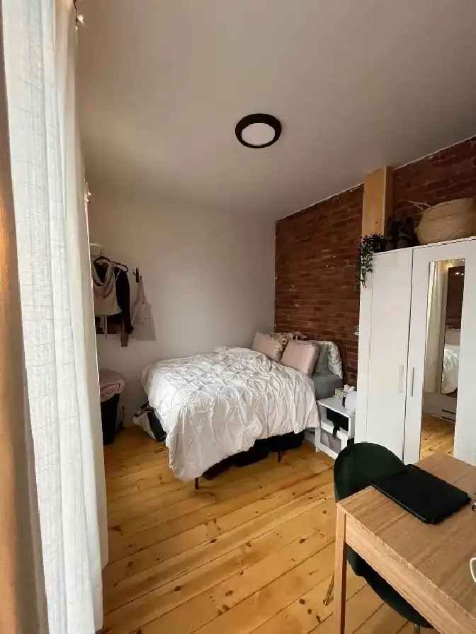 Room for rent plateau/downtown Montreal