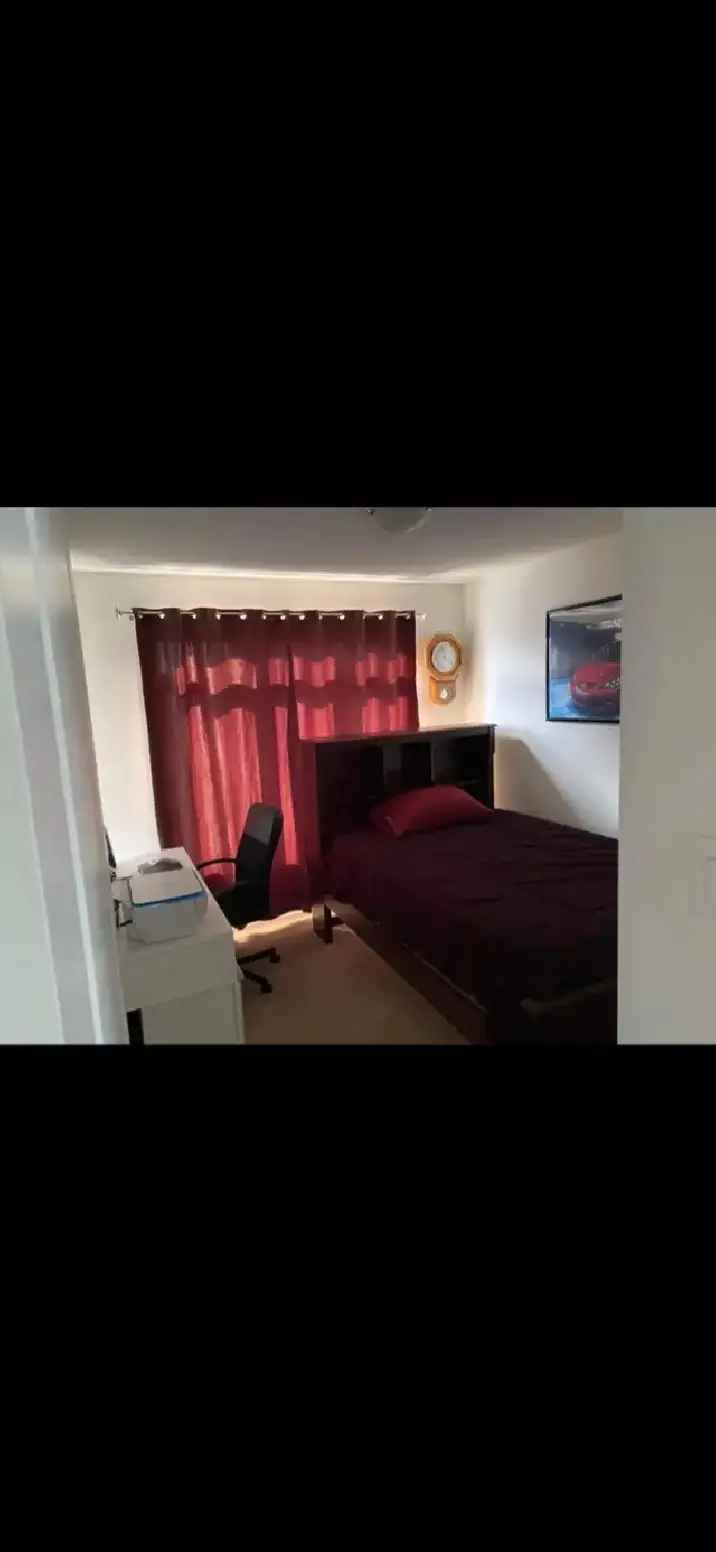Room for Rent in Stittsville Kanata for Students and Professionals