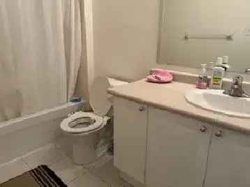 York University Village Room Rental Near Finch West Subway
