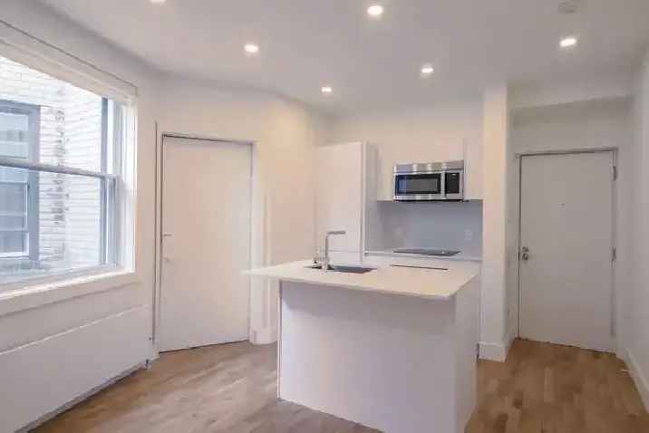 Rent Renovated One Bedroom Apartment in Côte-Des-Neiges Montreal