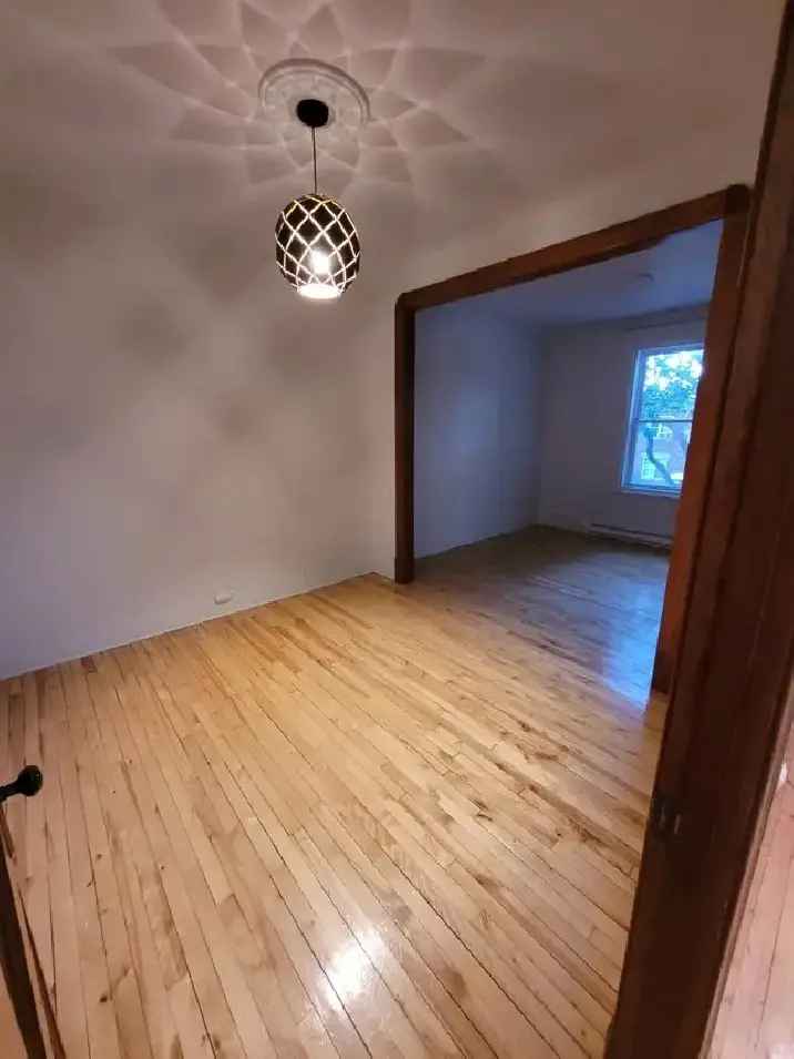 Bright 5 1/2 Duplex Apartment Rosemont