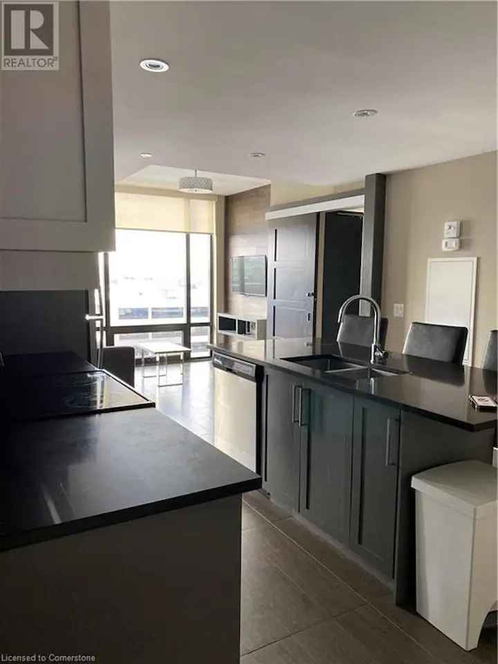 Rent Spacious 3 Bedroom Apartment in Waterloo with Modern Amenities