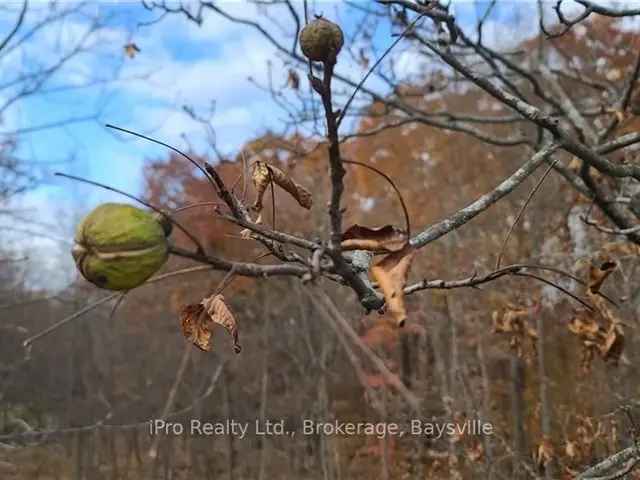 23-Acre Waterfront Lot on St Lawrence River