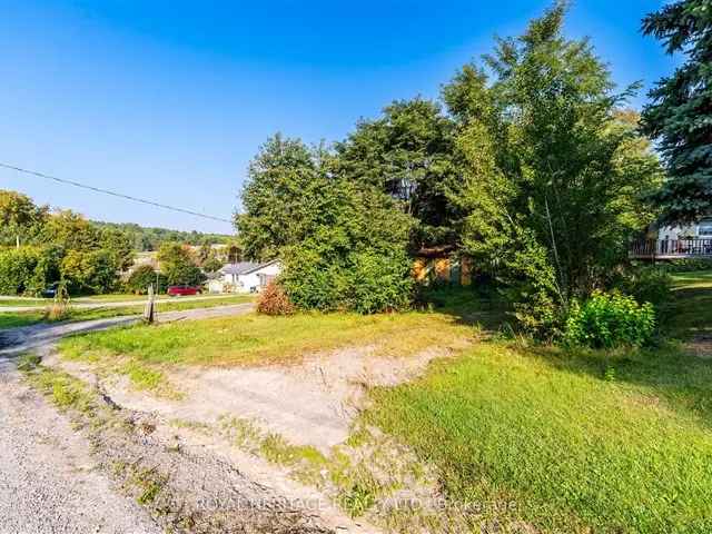 50x150 Building Lot in Bewdley - Rice Lake Access