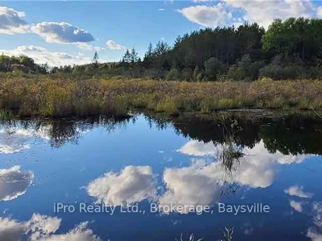 31 Acre Vacant Land in Kaladar with Pond Views and Private Trails