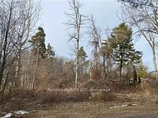 Land For Sale in Brighton, Ontario