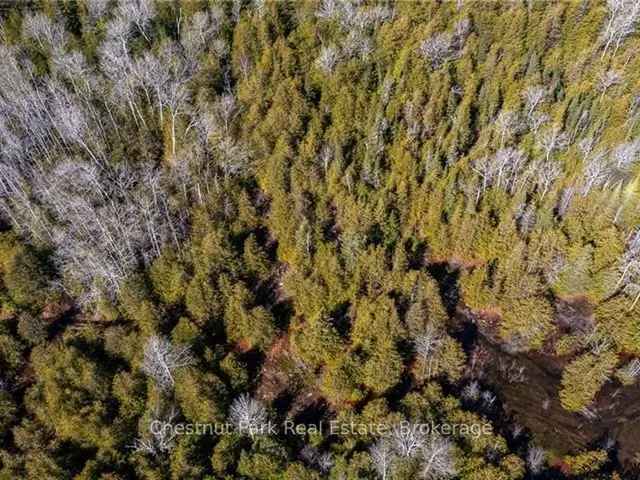 Land For Sale in Miller Lake, Ontario