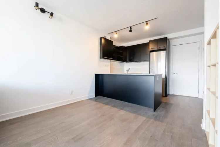 Downtown Montreal Condo 1 Bedroom Plus Den Pool Views Parking Locker