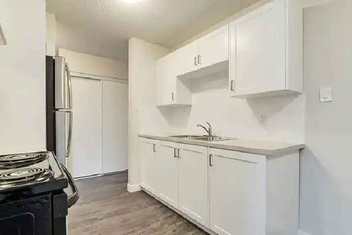 Affordable Apartments for Rent - North Star Apartments - Apartme