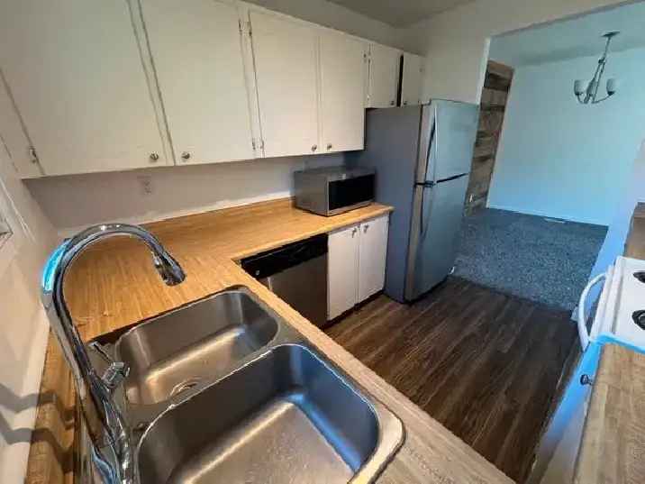 3 Bed 1 Bath Main Level