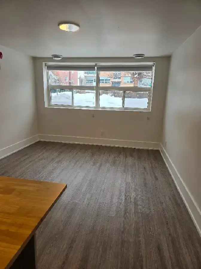 Bright Fully Renovated 1 Bedroom Apartment in North York