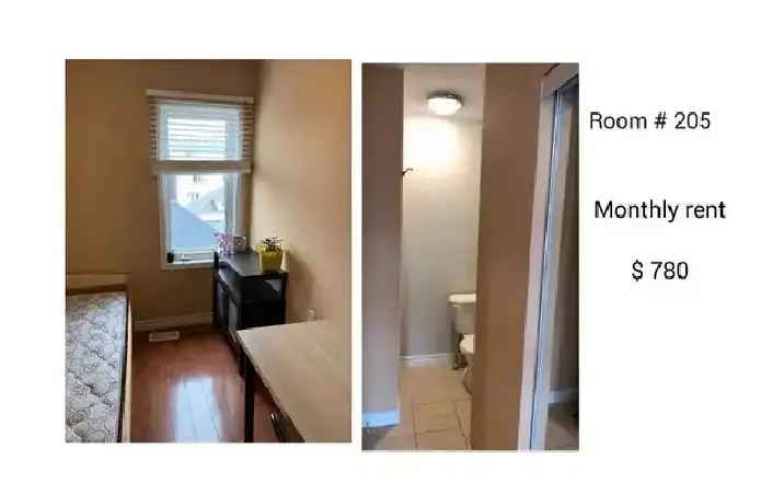 $ 780 - York University Village Room for rent