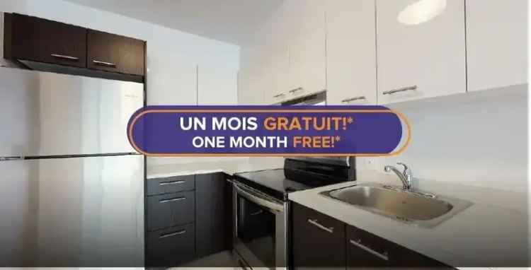 Rent Apartment in Montreal with Modern Features and Great Amenities