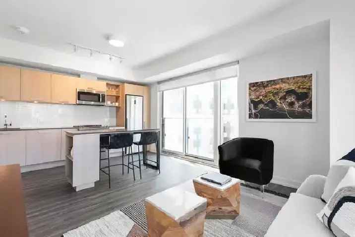 Rent 2 Bedroom Apartment in Downtown Toronto with Modern Finishes