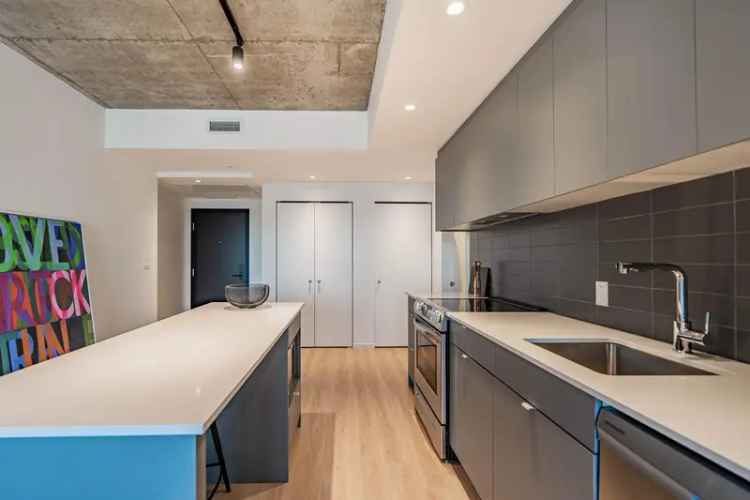 1 Bedroom Apartment in Montreal with Luxury Amenities