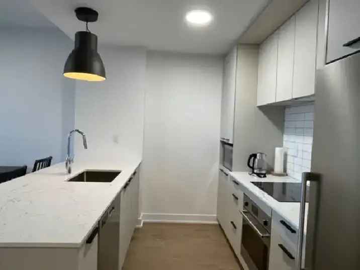 New 1 bedroom condo near Metro station Beaudry & Berri-UQAM