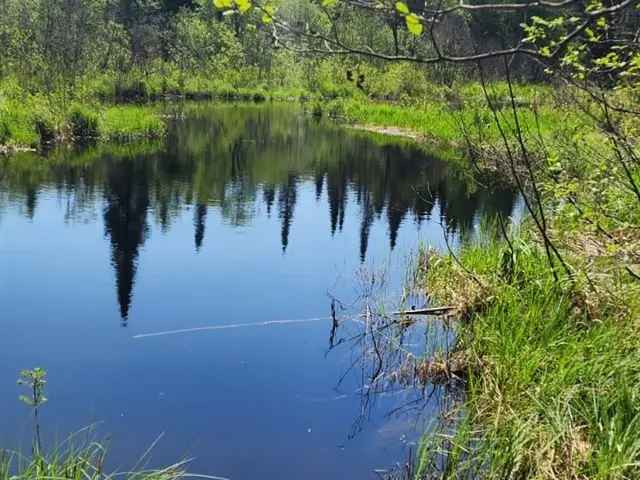 Secluded 200-Acre Wilderness Retreat with River Frontage