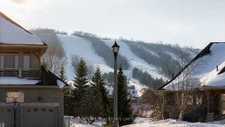 Buy Luxury Chalet in Orchard With Stunning Ski Hill Views