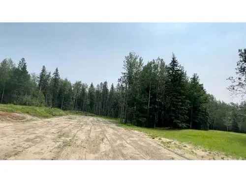 Vacant Land For Sale In Rural Grande Prairie No. 1, County of, Alberta