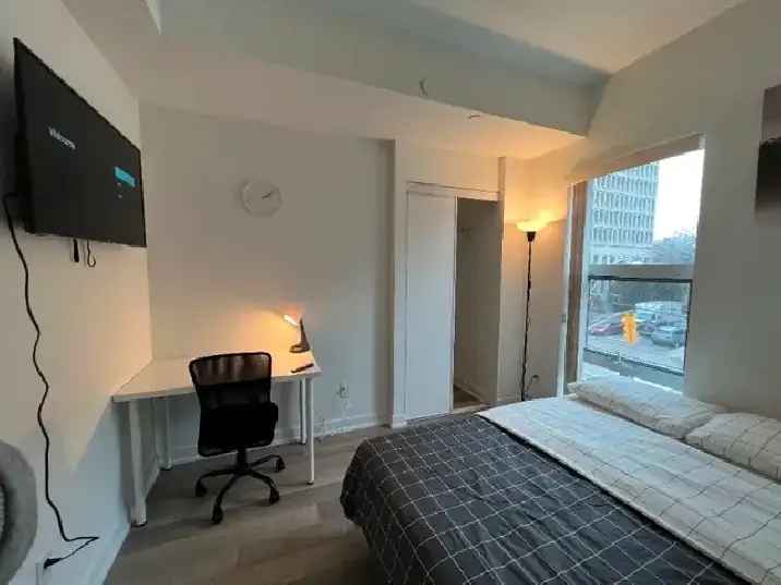 Room for Rent Deluxe Room in Downtown Apartment All Inclusive