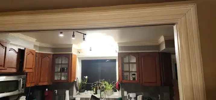 10 1/2 Room House For Rent