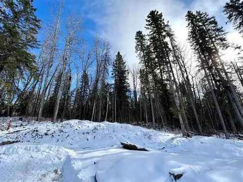 Vacant Land For Sale in Rural Grande Prairie No 1 County of Alberta with Nature Trails