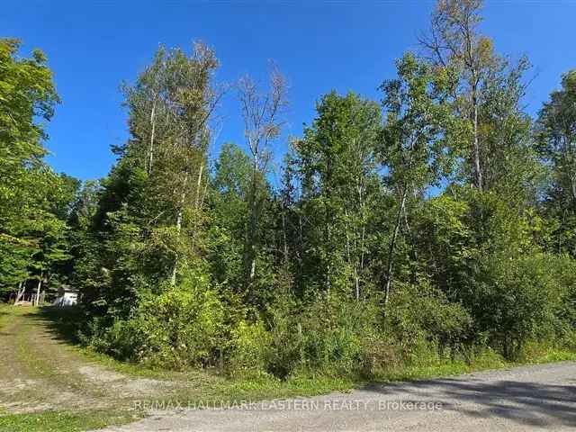 1.29 Acre Private Building Lot with 3 Sheds - Rural Living Near Havelock