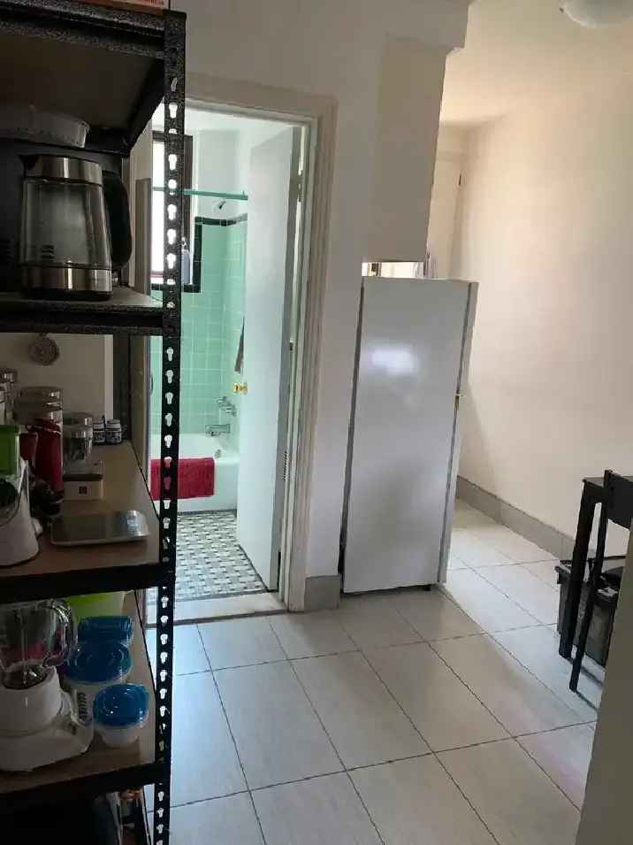 One Bedroom Apartment Near McGill University