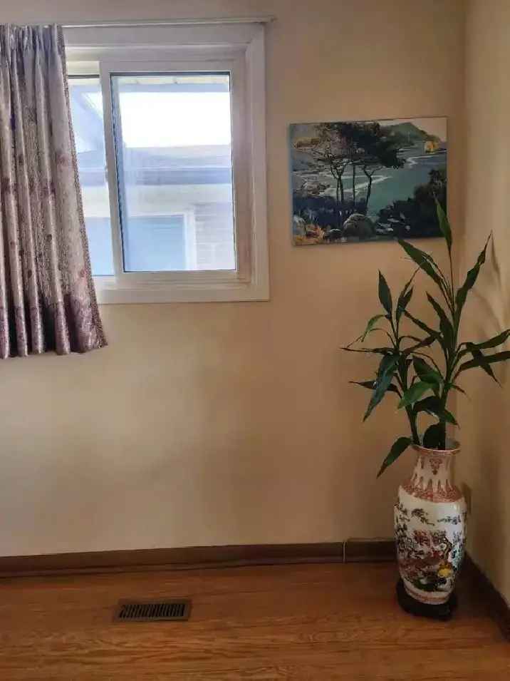 room for rent