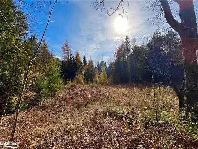 1.72 Acre Lot Haliburton County Peaceful Countryside Escape