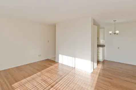 1 room apartment of 65 m² in Calgary