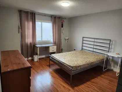 1 room house of 47 m² in Toronto