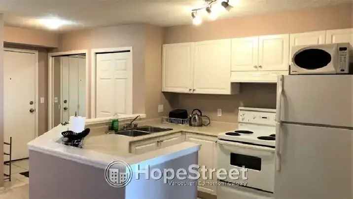 1 Bed Furnished Condo In Downtown W/All Utilities & Und. Parking