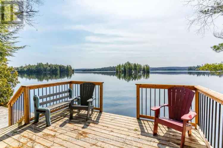 Chestnut Park Real Estate