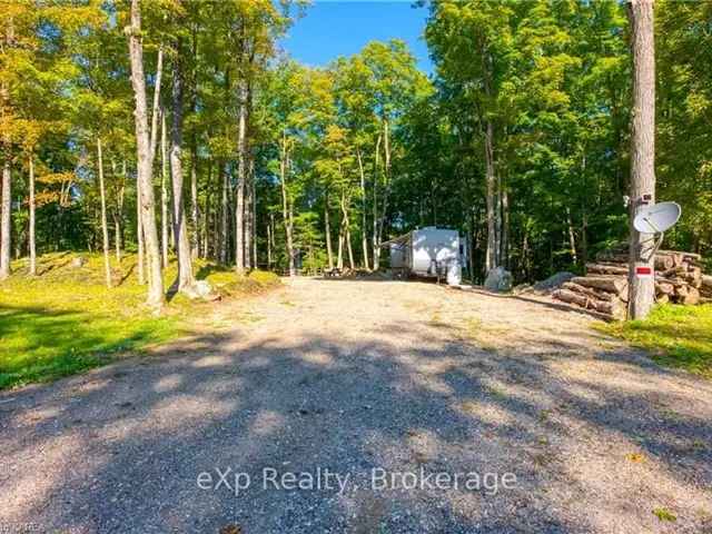 7-Acre Forested Land with Cabin and Modern Amenities