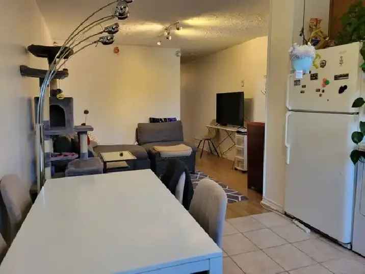 1 Bedroom Apartment Plateau Mont Royal Balcony